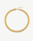 Hayden Flat Choker Necklace